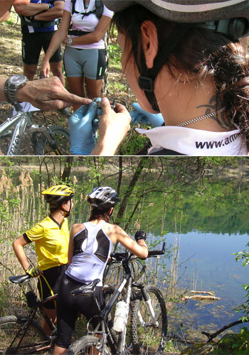 am bike val di fiemme