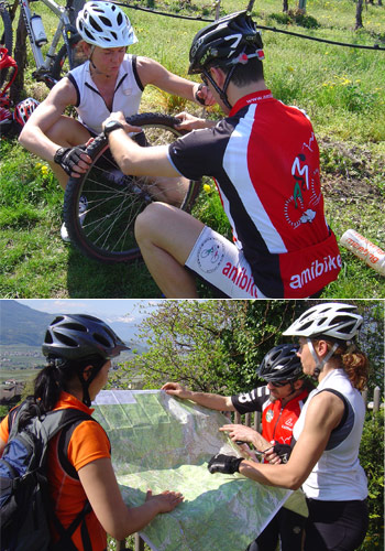 am-bike bicicletta 