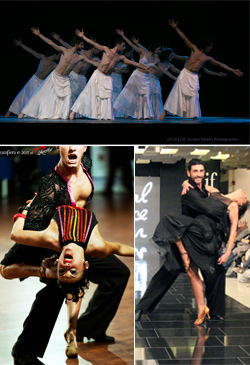 dif-2014