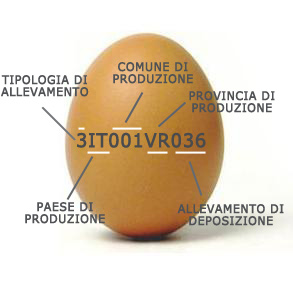 etichette uova